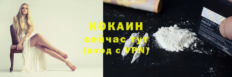 как найти   Орск  COCAIN Columbia 