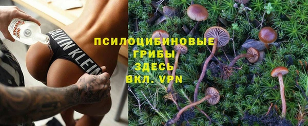 стафф Хадыженск