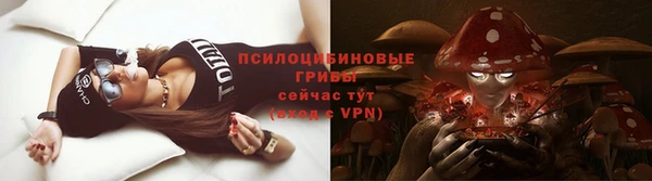 стафф Хадыженск