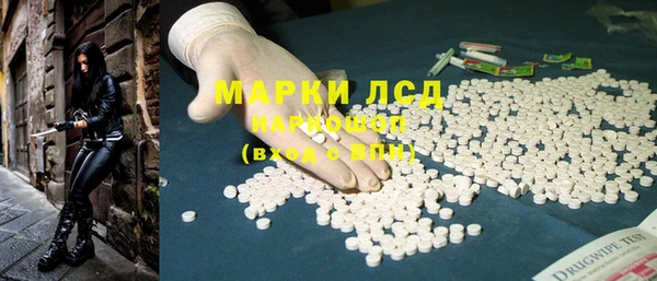 стафф Хадыженск