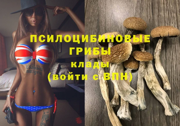стафф Хадыженск