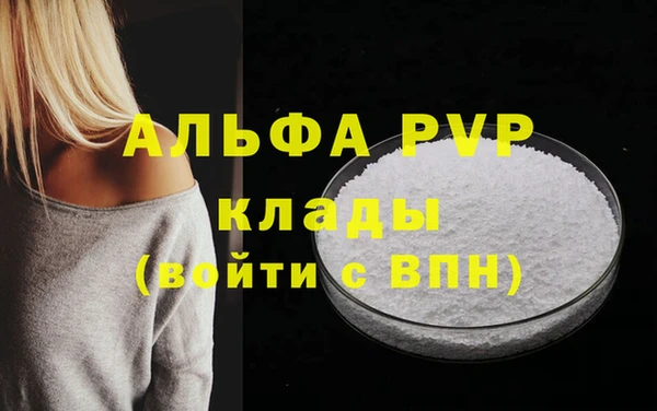 стафф Хадыженск