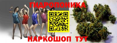 гашик Заводоуковск