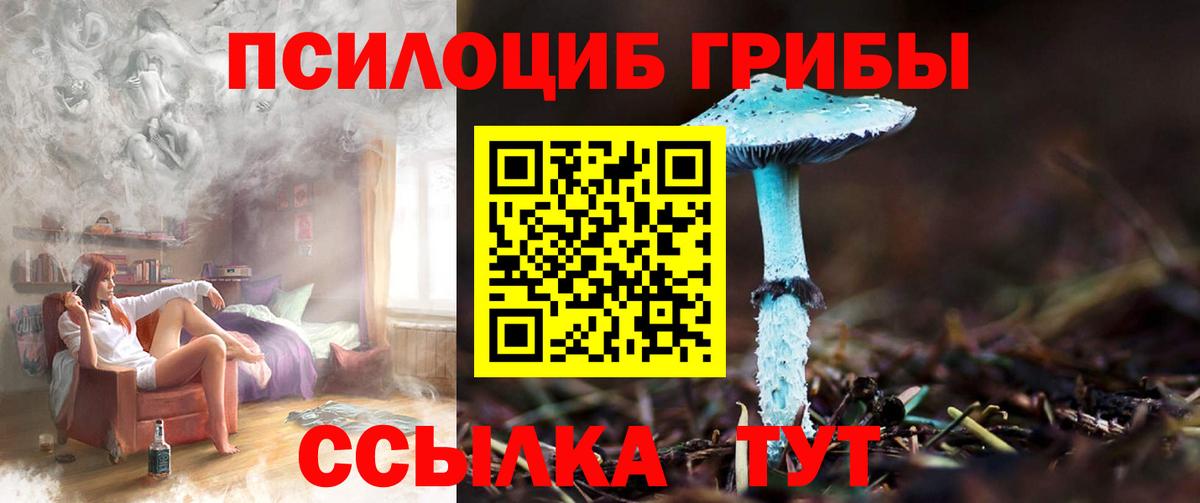 где продают наркотики  Галлюциногенные грибы Psilocybe  Вход с VPN  Орск 