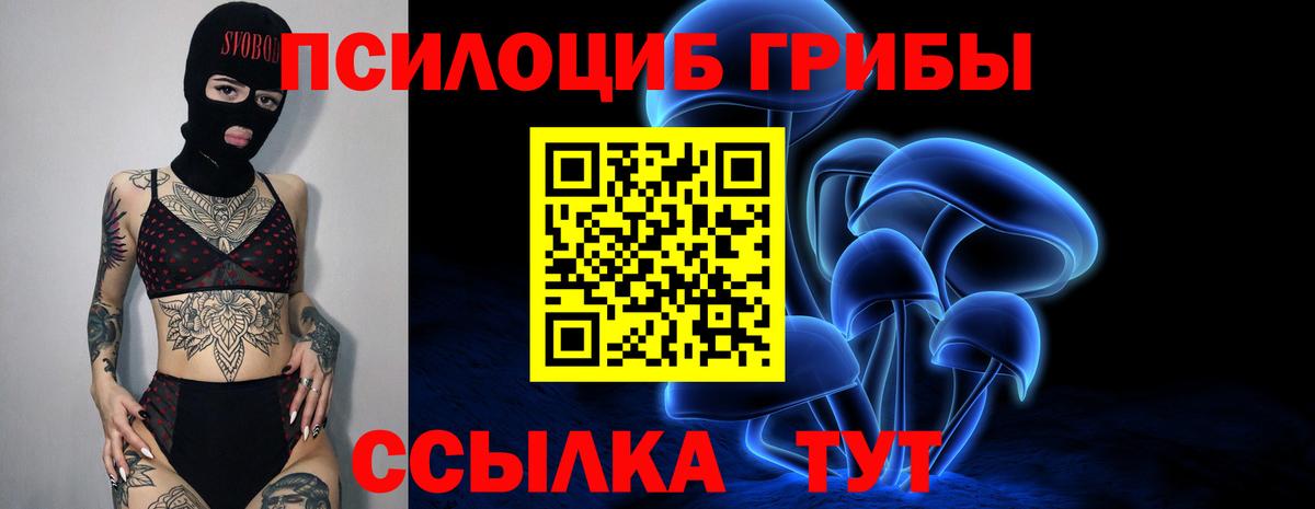 Псилоцибиновые грибы ЛСД Орск